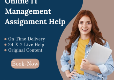Online-IT-Management-Assignment-Help-3