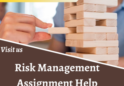 Risk-Management-Assignment-Help-2