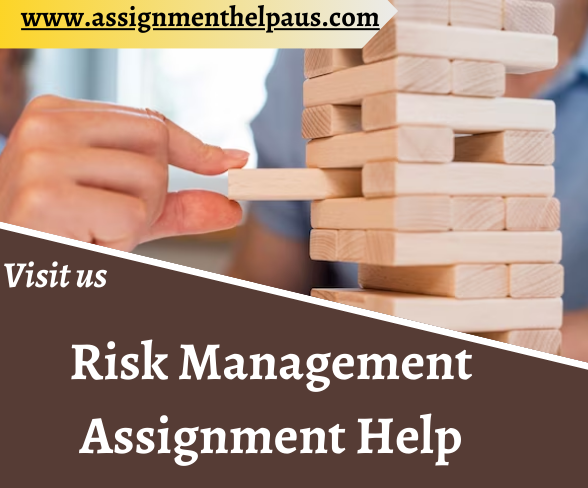 How to take the best Risk Management Assignment Help A+ grade