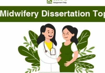 Journey to Maternal and Newborn Expertise: Exploring Midwifery Research