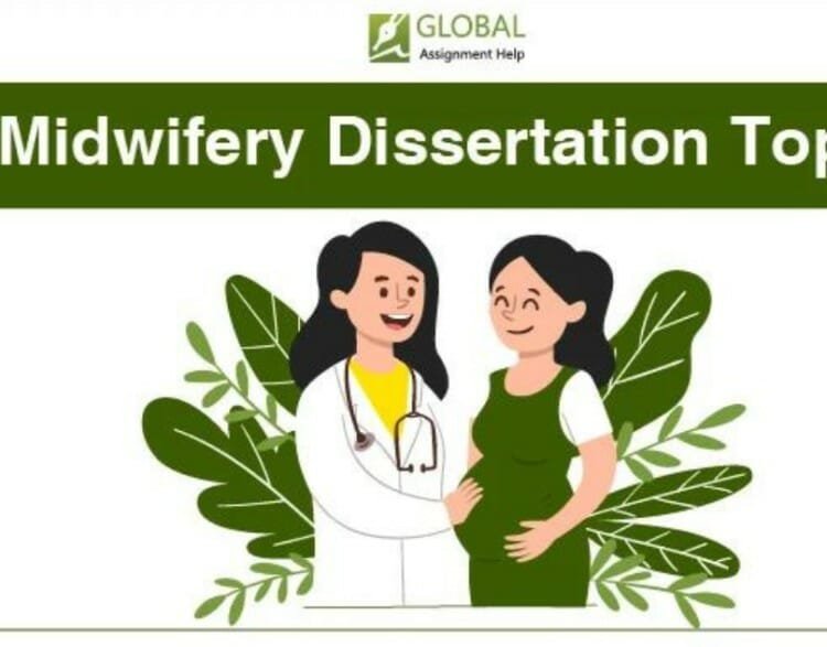 Journey to Maternal and Newborn Expertise: Exploring Midwifery Research