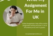 Fulfilling Academic Wishes: Expert Assignment Writers at Your Service