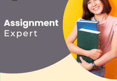 assignment-expert-1