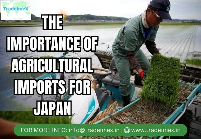 Japan Top Import Partners?