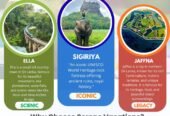 Best Of Sri Lanka Tours – We offer wide range of Holiday offers in Sri Lanka mainly and also for Maldives /Vietnam / Singapore/ Malaysia